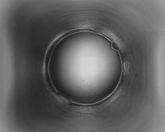 X0000102270780200807251348
