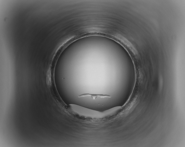 X0000102270782200807251348
