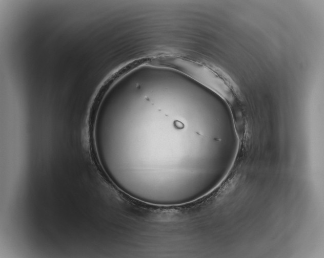 X0000102270784200807251348