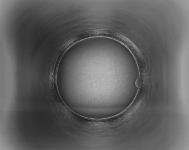 X0000102270785200807251348