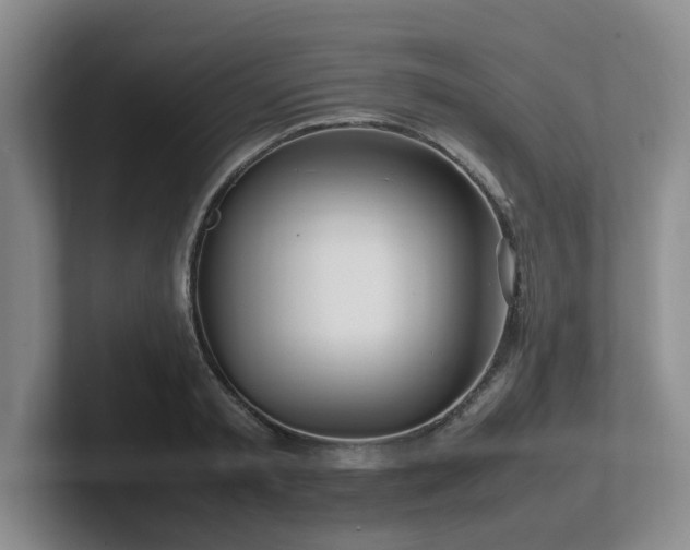 X0000102270797200807251348