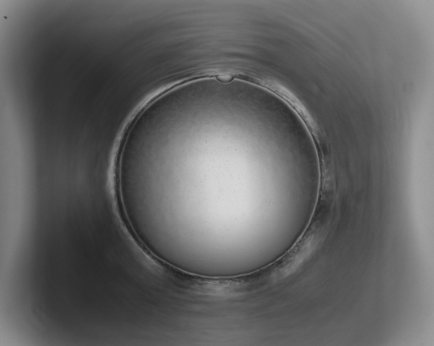 X0000102270803200807251348