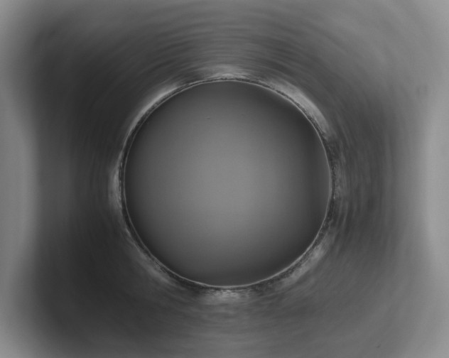 X0000102270806200807251348