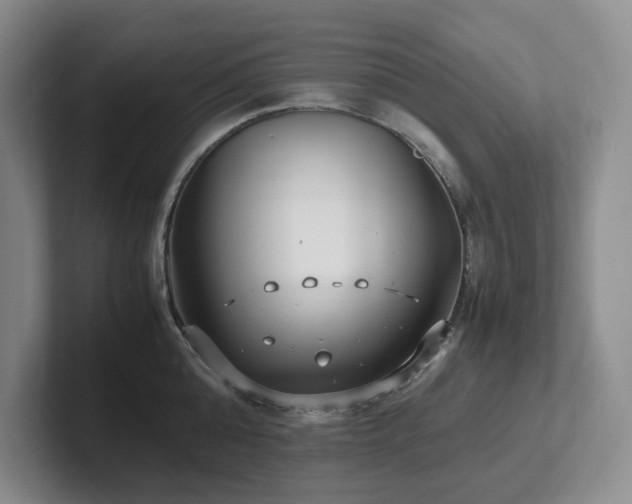 X0000102270808200807251348