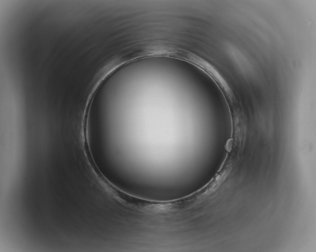 X0000102270810200807251348