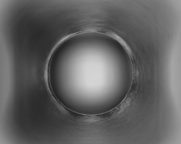 X0000102270811200807251348