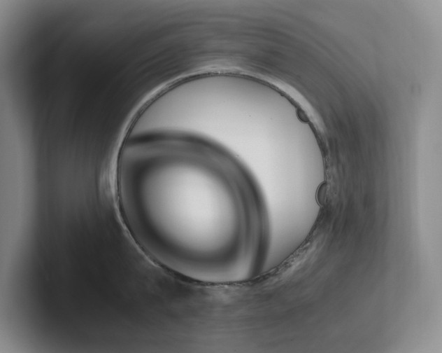 X0000102270815200807251348