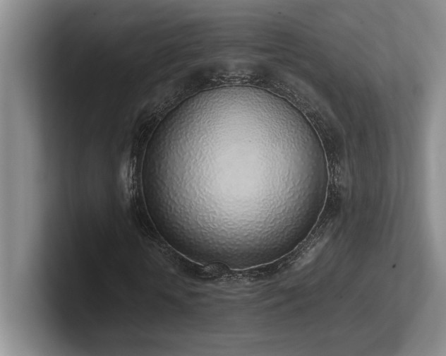 X0000102270818200807251347