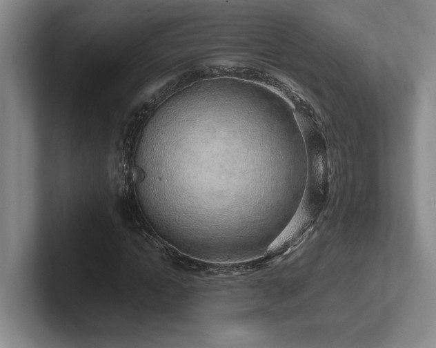 X0000102270822200807251347