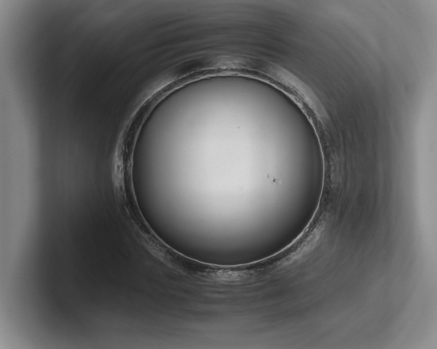 X0000102270827200807251347