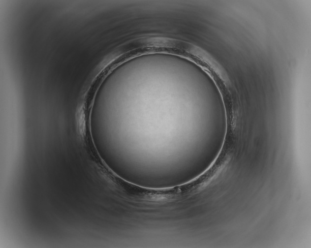 X0000102270829200807251347