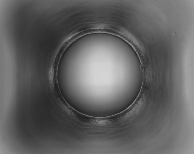X0000102270831200807251347