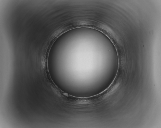 X0000102270833200807251347
