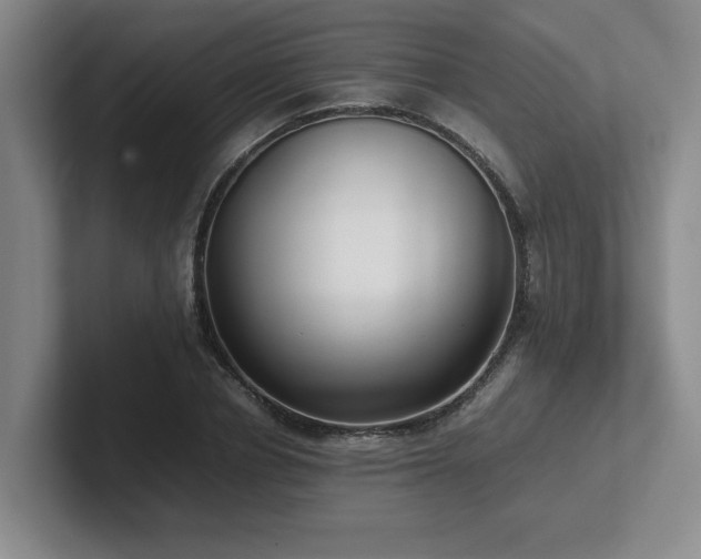 X0000102270834200807251347