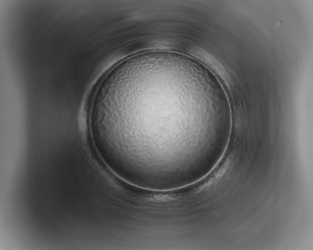 X0000102270835200807251347
