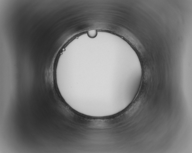 X0000102270836200807251348