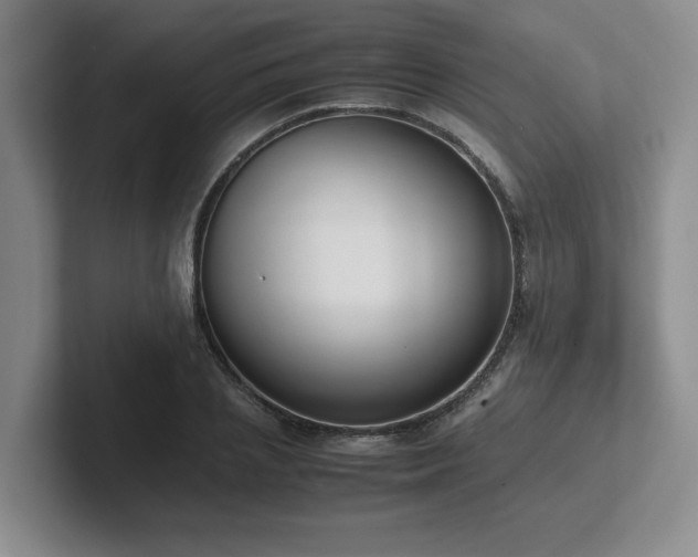 X0000102270837200807251348