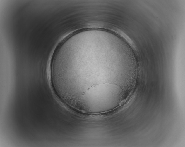 X0000102270840200807251348