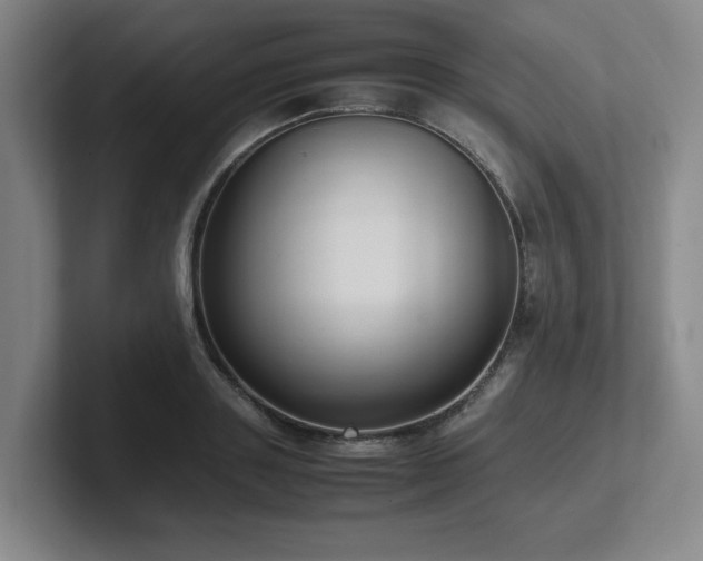 X0000102270843200807251348