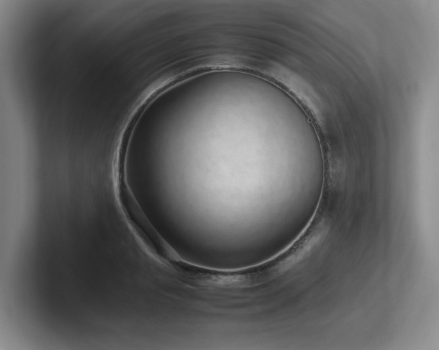 X0000102270845200807251348