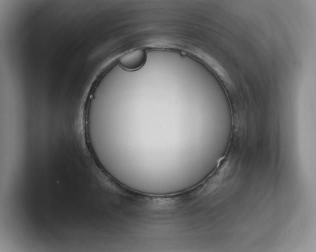 X0000102270848200807251348