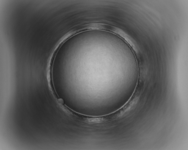 X0000102270853200807251348