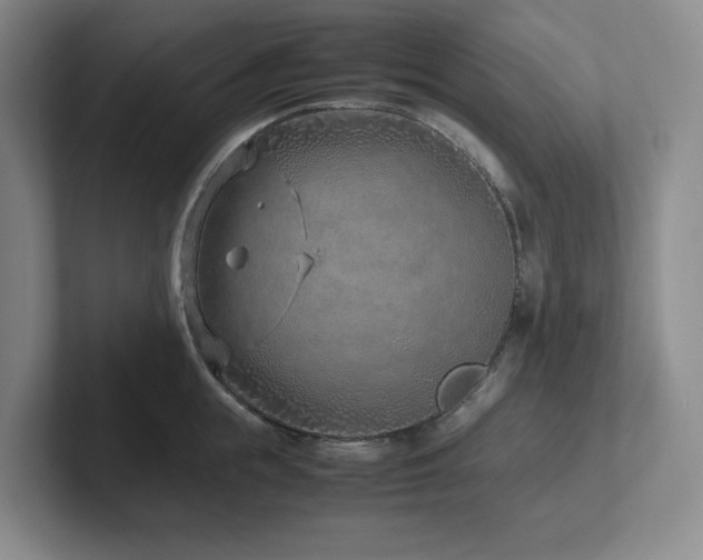 X0000102270855200807251348