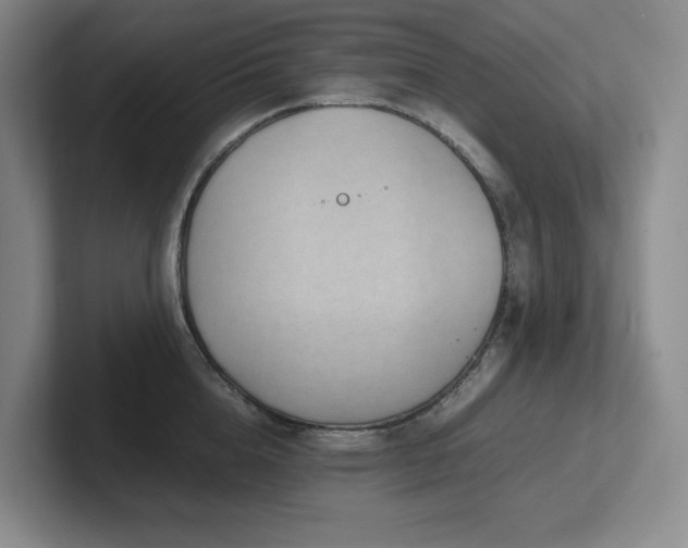 X0000102270856200807251348