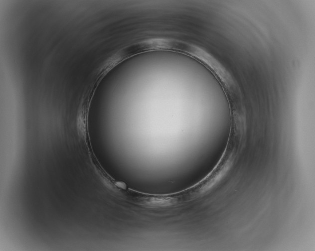 X0000102270857200807251348