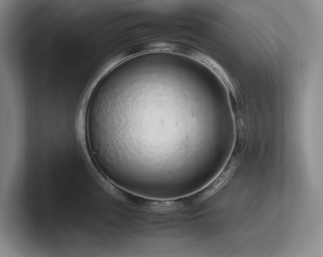 X0000102270859200807251348