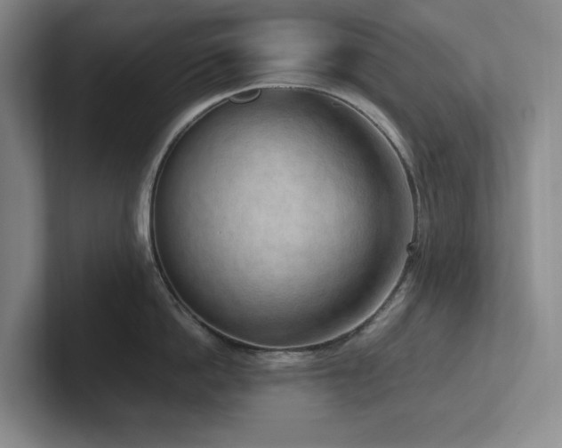 X0000102270862200807251348