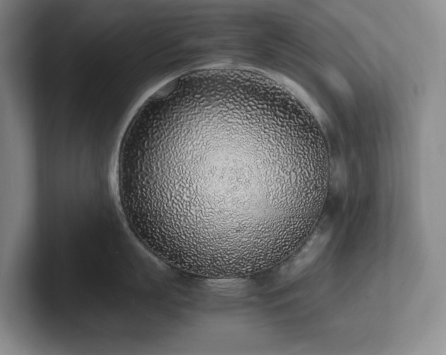 X0000102270863200807251348