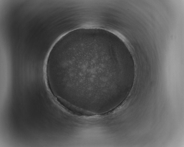 X0000102270864200807251348