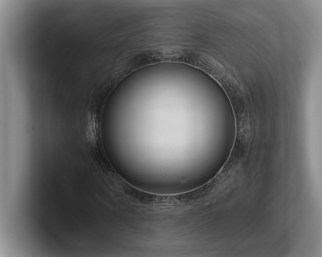 X0000102270866200807251347