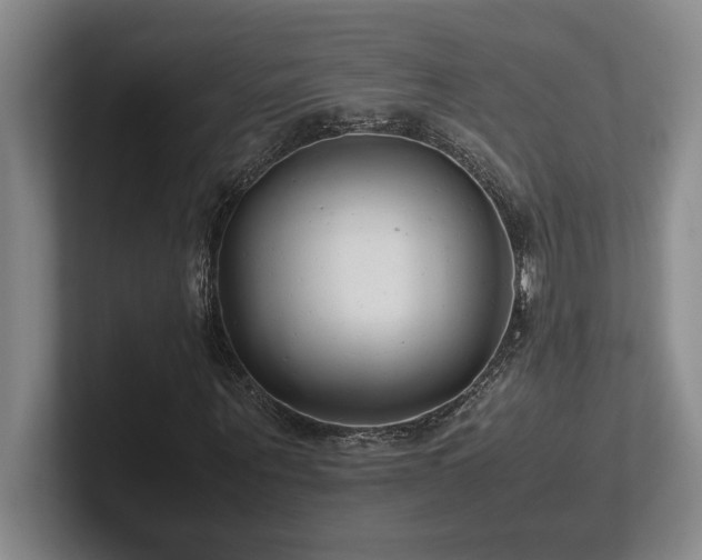 X0000102270867200807251347