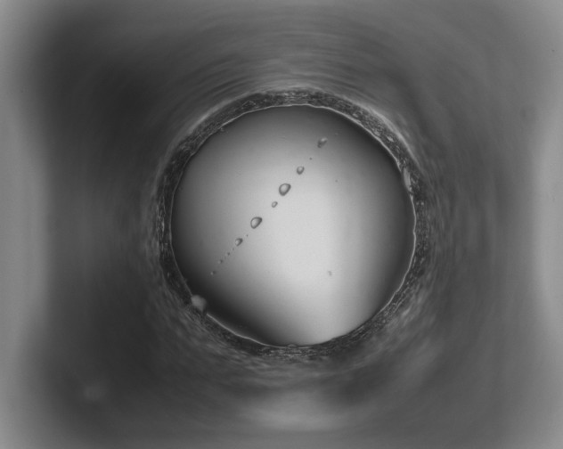 X0000102270871200807251347