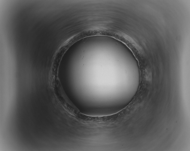 X0000102270872200807251347