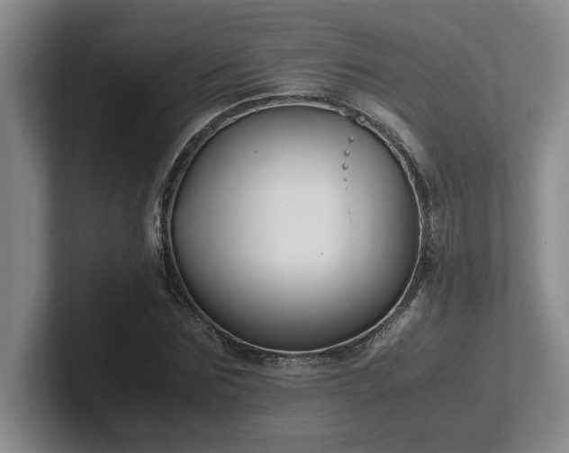 X0000102270875200807251347