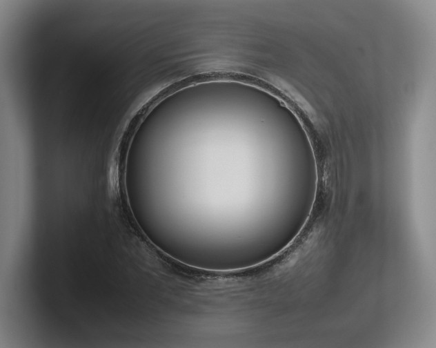 X0000102270877200807251347