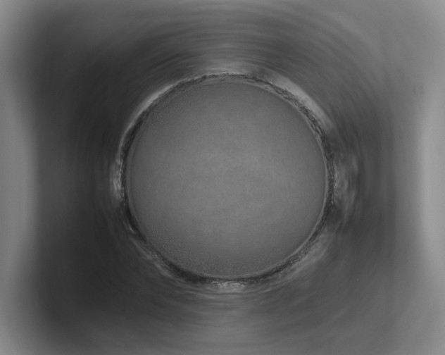 X0000102270878200807251347