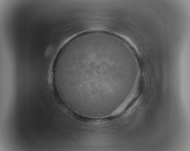 X0000102270879200807251347