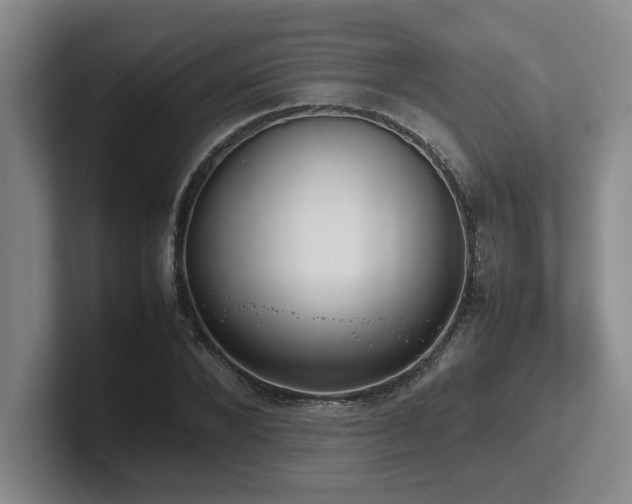 X0000102270880200807251347