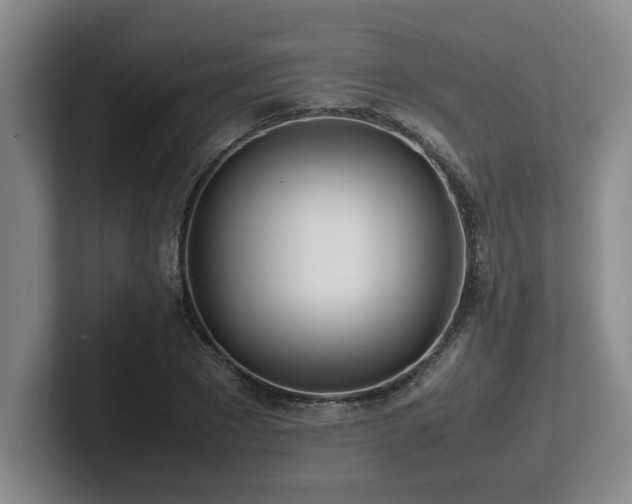 X0000102270881200807251347