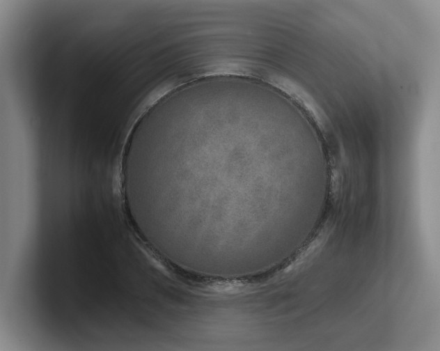 X0000102270882200807251347