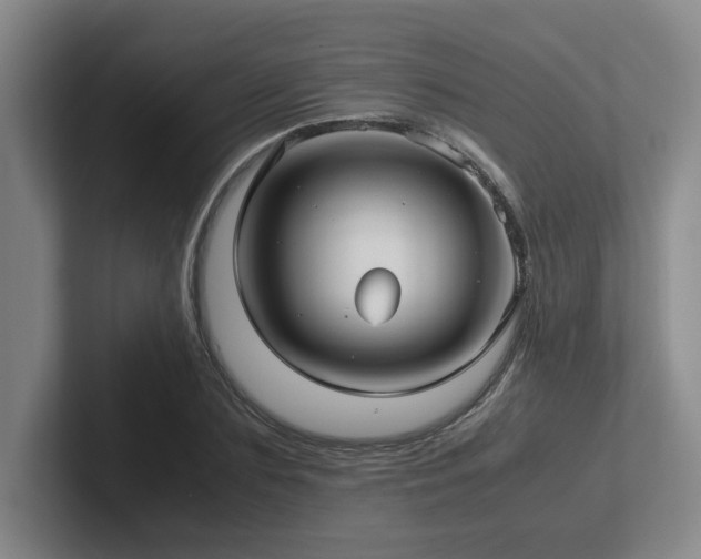 X0000102270883200807251347