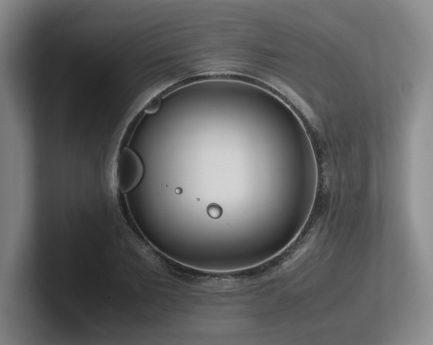 X0000102270885200807251347