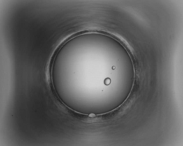 X0000102270887200807251347