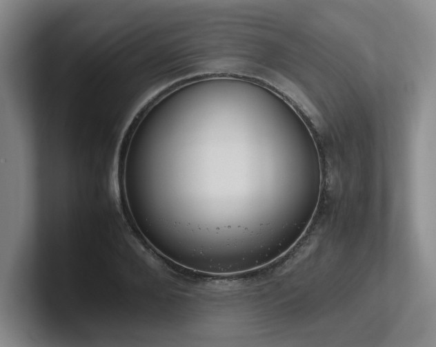X0000102270888200807251347