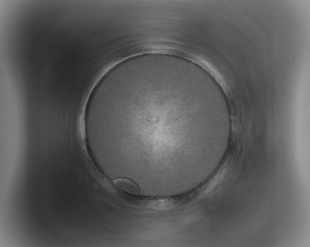 X0000102270891200807251347