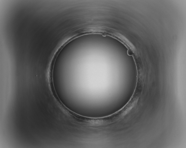 X0000102270893200807251347